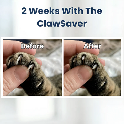 Cat ClawSaver